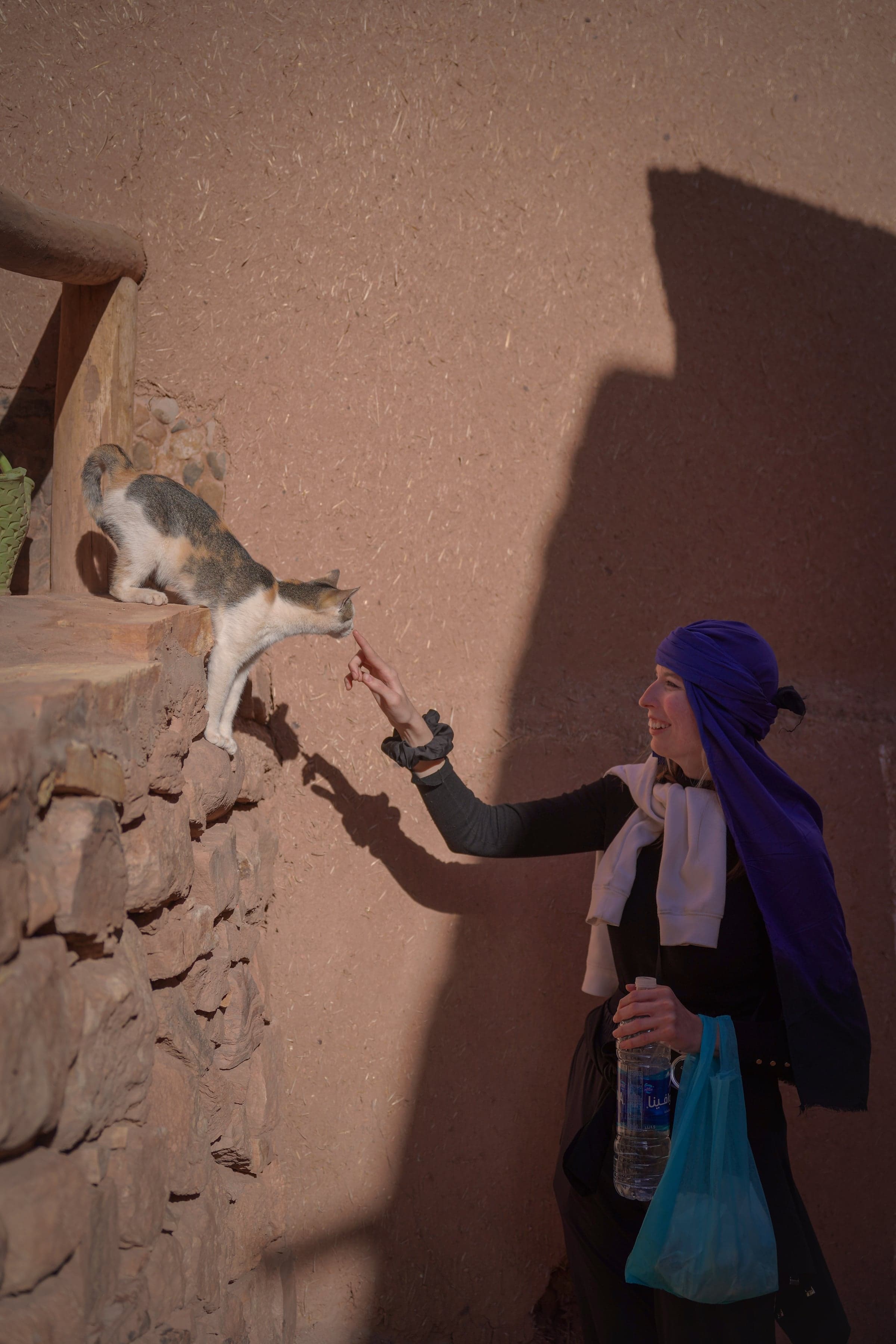 The Cat Charmer
