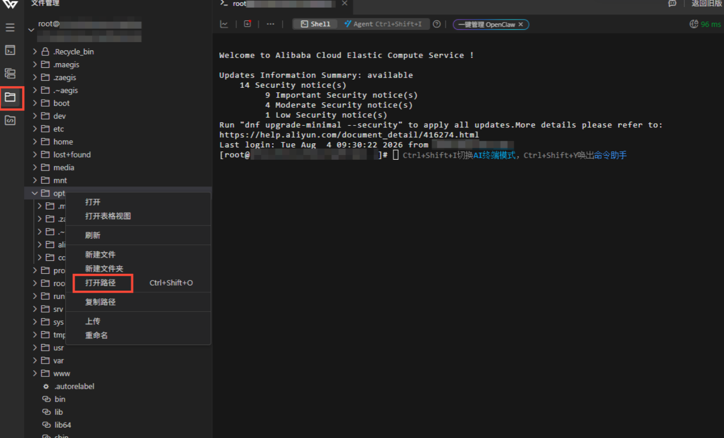 Workbench file manager → /opt → upload zip
